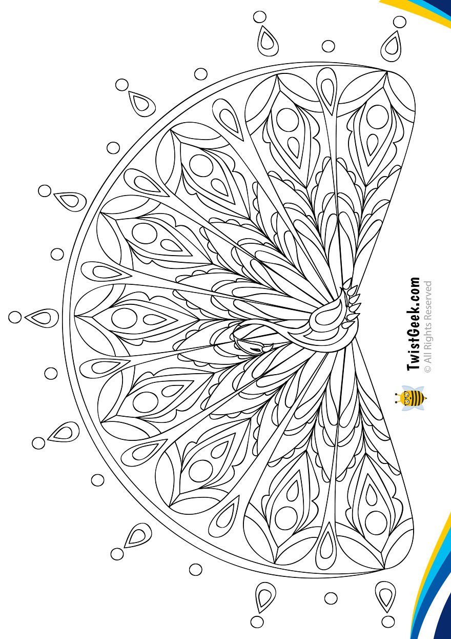Beautiful Peacock Coloring Pages For Adults