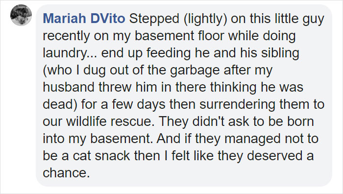 People Share Pics And Stories Of Pests They Saved Instead Of Killing