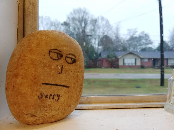 This Is Our Adopted Rock Jerry. We Found Him In A Foreclosure We Bought. He Now Spends His Days Staring Out The Window Like This Judging Everyone