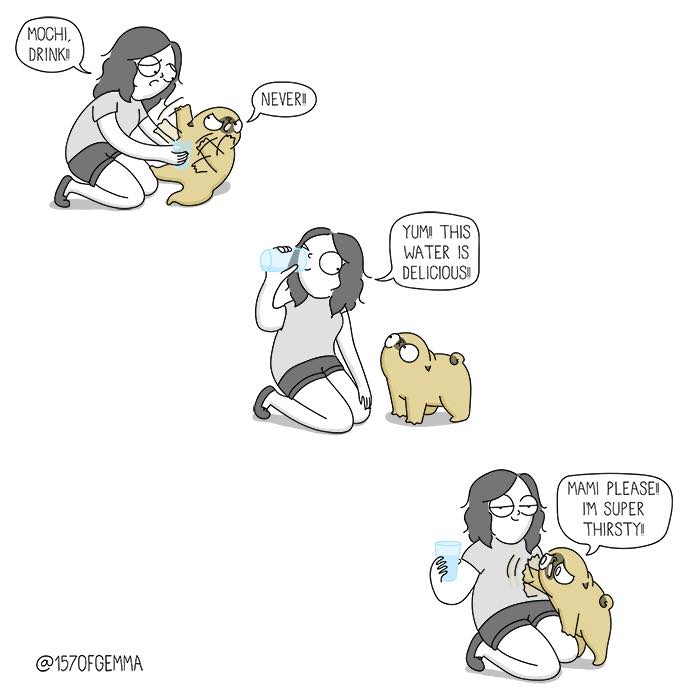 "Living With My Pug Mochi"