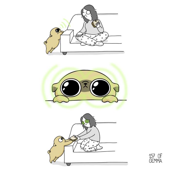 "Living With My Pug Mochi"