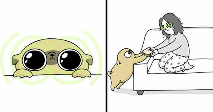 Adorable Comics That Hilariously Sum Up What It’s Like Living With A Dog (New Pics)