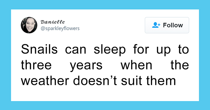 Someone Starts A Twitter Thread On The Most Random Facts And 35 People Deliver