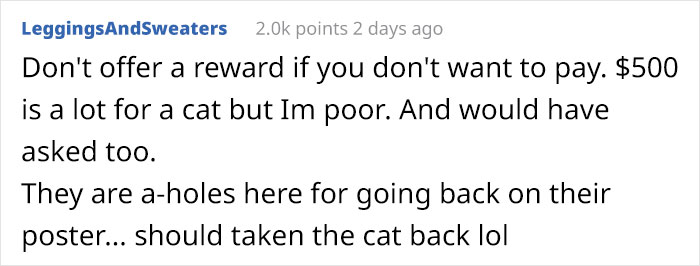 Guy Finds Lost Cat, Brings It To Its Owners, Asks For $500 Promised Reward, Gets Sneered At And Judged