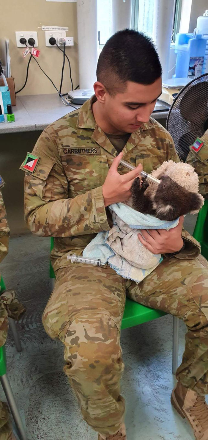 Australian Army Soldiers Spend Their Rest Time Caring For Koalas Affected By The Bushfires