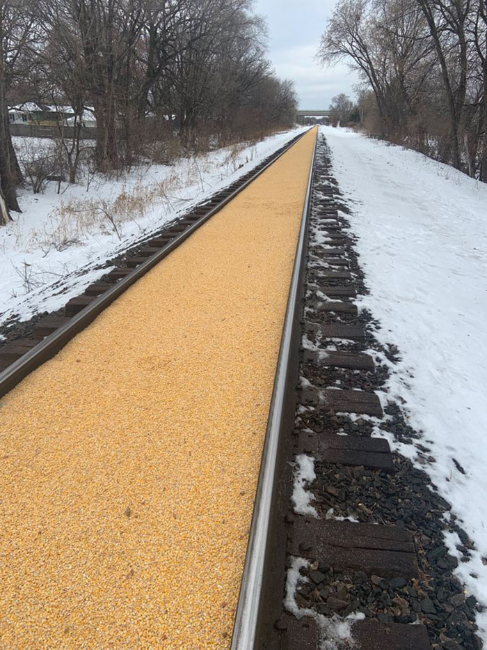 Someone Shares A Photo Of A 2,000 Feet Long Railroad Covered In Corn