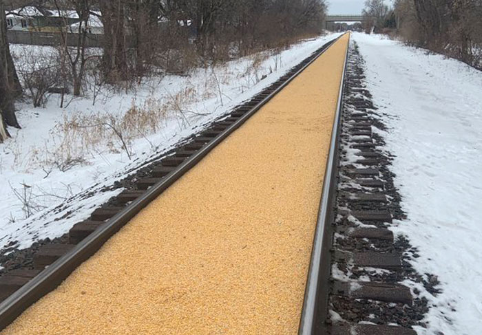 Someone Shares A Photo Of A 2,000 Feet Long Railroad Covered In Corn