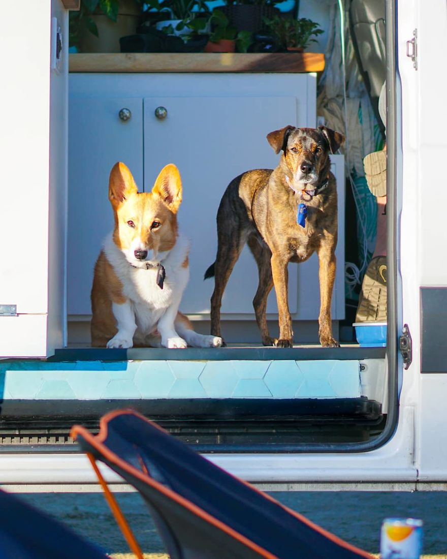 Couple Live A Simple & Adventure Filled Life In A DIY Sprinter Van Conversion
