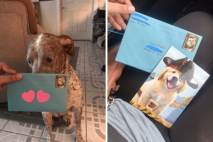 My Ex And I Split Up Two Years Ago And He Still Sends Our Dog, Apollo, A Birthday Card And Gift Card To Petco On His Birthday