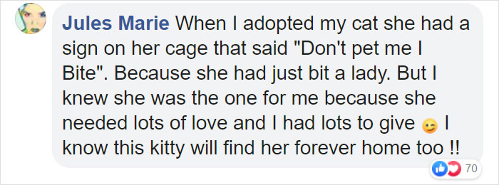 Animal Shelter Puts Up 'The World's Worst Cat' For Adoption And People Are Loving The Description