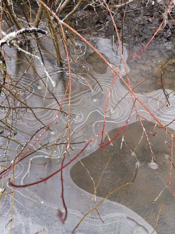 "Frozen ditch water looks like topographic map"