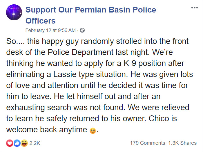 Dog Strolls Into Texan Police Station To ‘Report Himself Missing’
