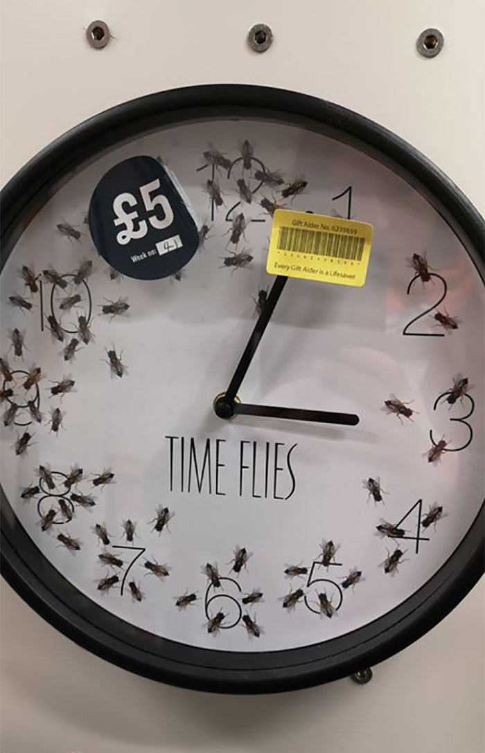 I Found This Rather Odd Clock In A Charity Shop In Newton Abbot, Devon