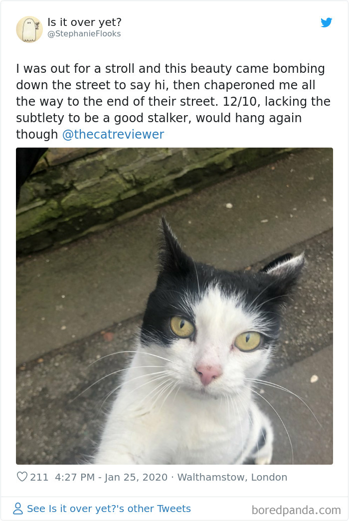 People-Review-Cats-Thecatreviewer