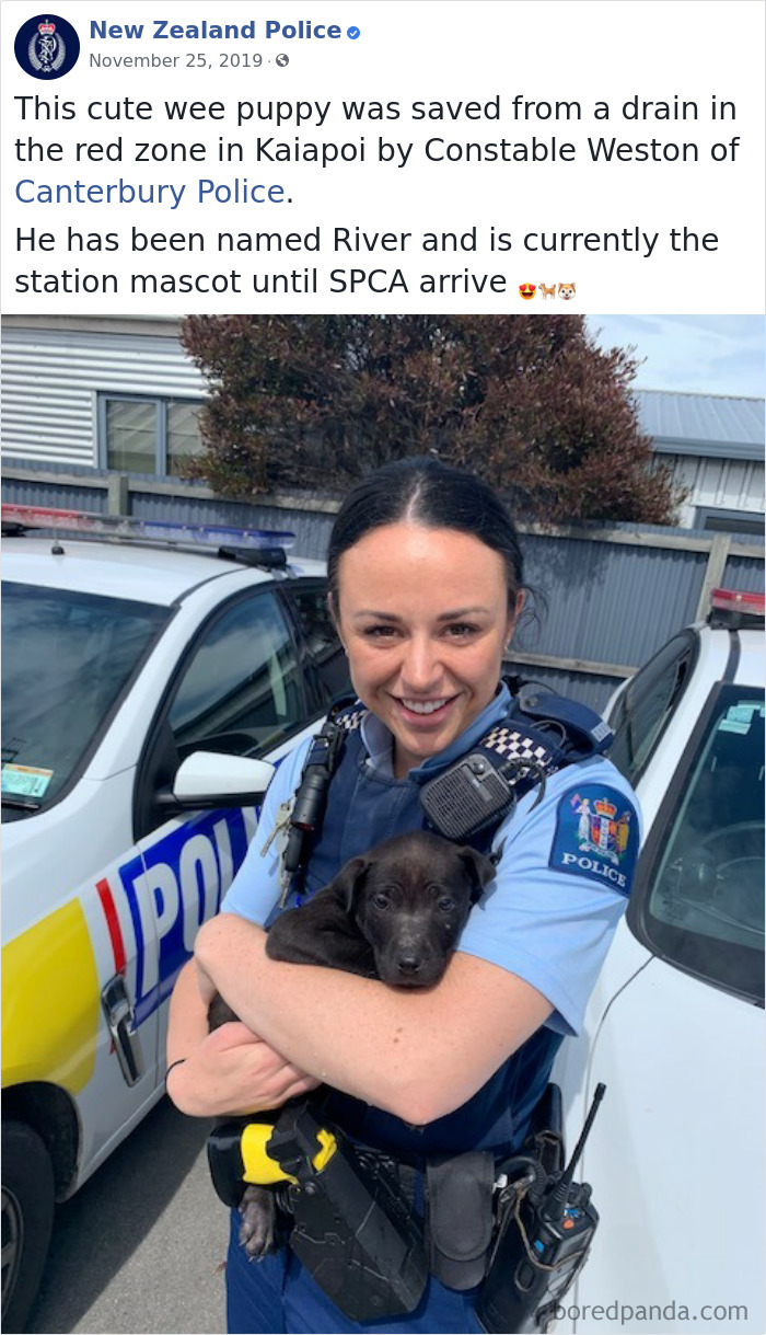 New-Zealand-Police