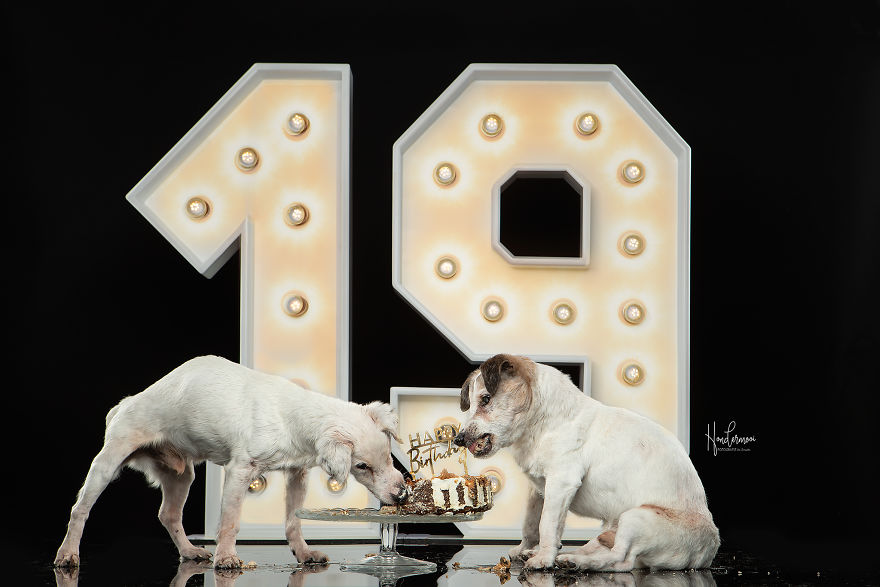 19-Year-Old Jack Russell Brothers Celebrate Their Birthday In Style