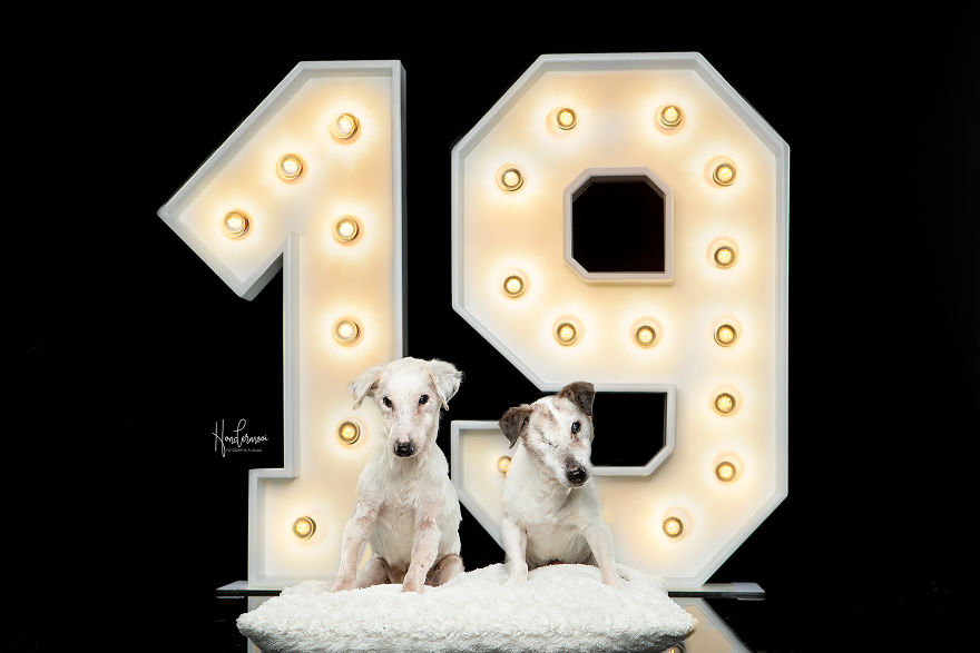 19-Year-Old Jack Russell Brothers Celebrate Their Birthday In Style
