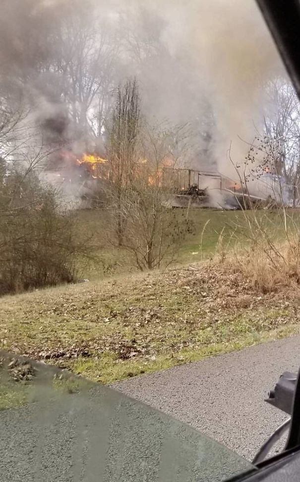Hero Parrot Saves His Family From A Terrible Fire