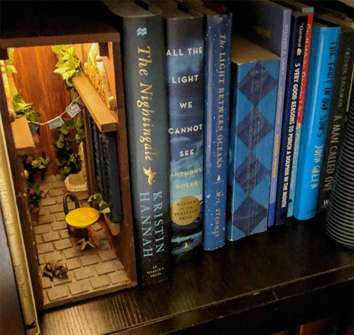 Small Alley In Bookshelf