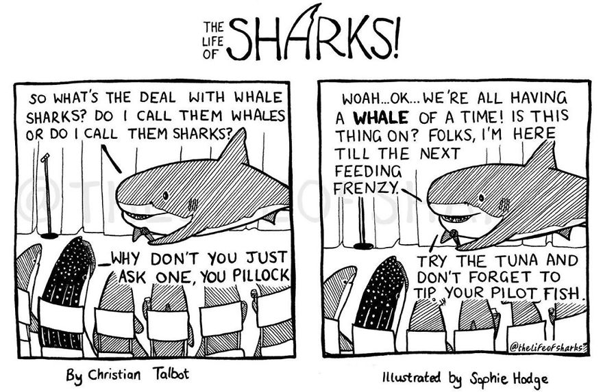 25 Comics We Made That Put Funny Words Into The Mouths Of Big Fish: The Life Of Sharks