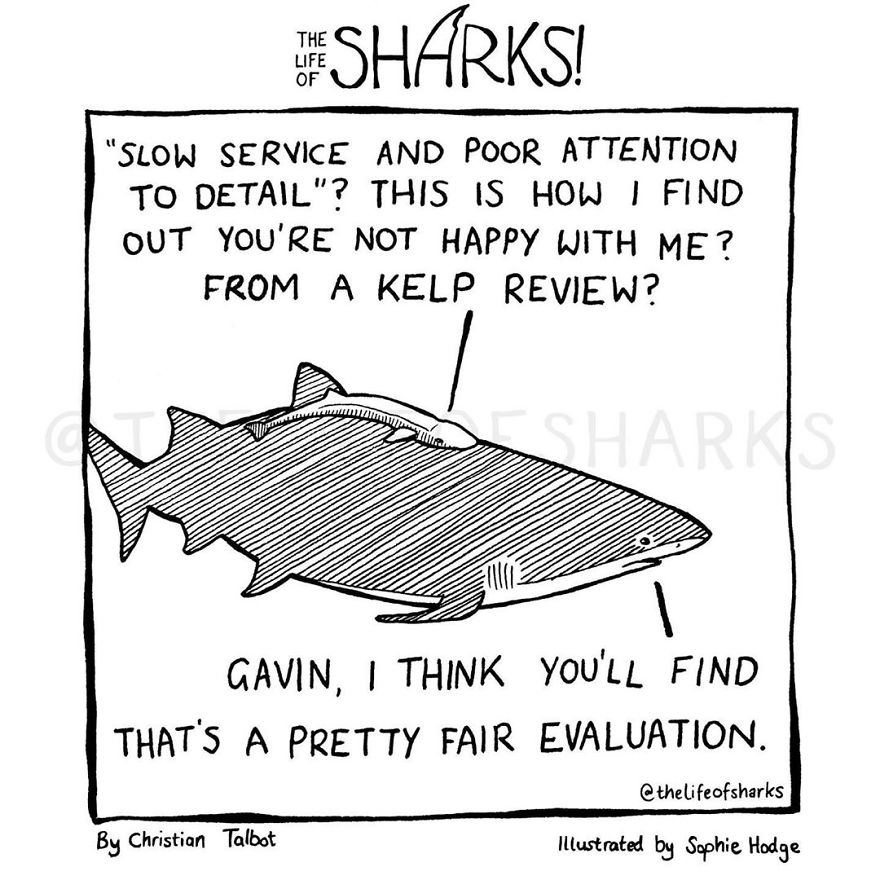 25 Comics We Made That Put Funny Words Into The Mouths Of Big Fish: The Life Of Sharks