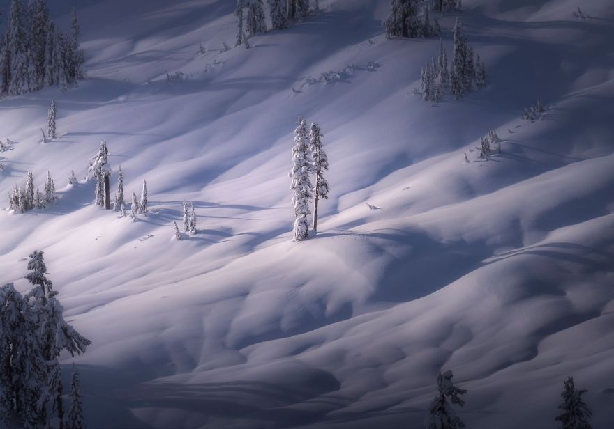 Mount Baker, Washington, United States By Matt Jackisch