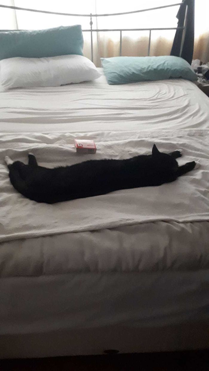 A Picture My Sister Took Of Our Lengthy Boi