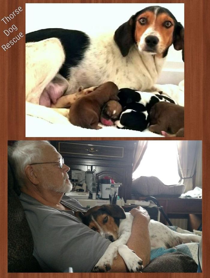 From Pregnant And Abandoned To Snuggled Into Her New Dad's Arms