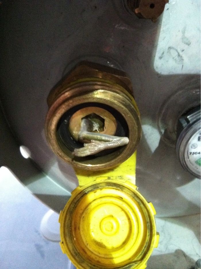 I Was Filling The Fuel Tank On A Forklift When The Line Got Clogged. I Removed The Nozzle And Found A Frog Stuck In The Valve