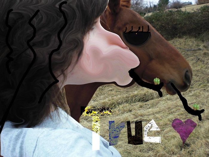 My Sister Was Really Into Our Neighbors Horse And Made This Amazing Edit In 2009