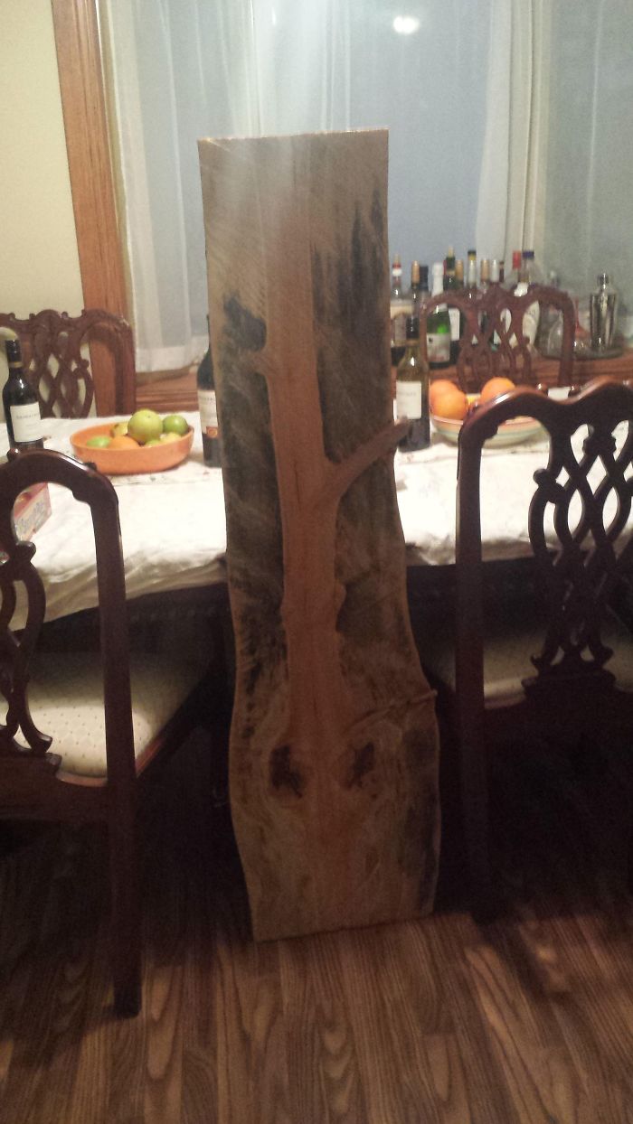 My Mom's Boyfriend Cut Down A Dead Tree And Found Another Tree Inside