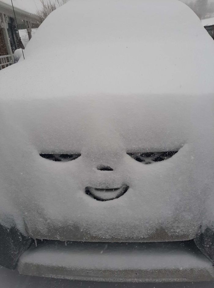 Mi coche parece contento con la nevada