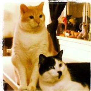 myfacebookemail2908 avatar