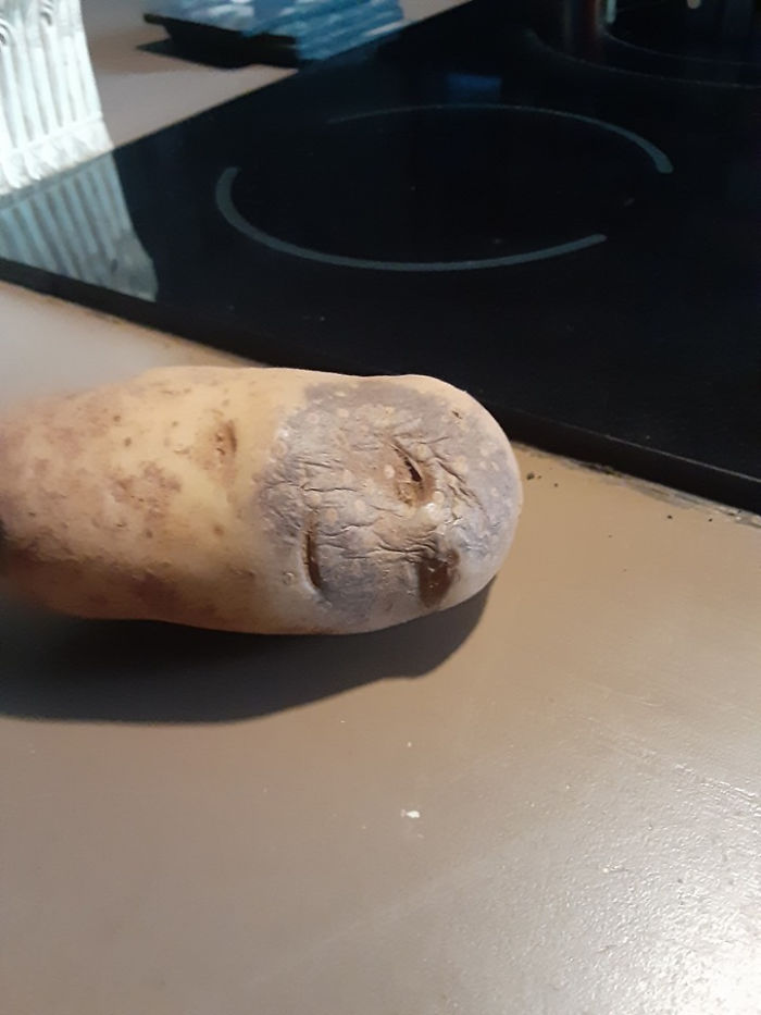 Esta patata parece harta de vivir