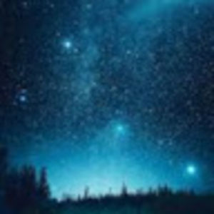 animallover43000 avatar