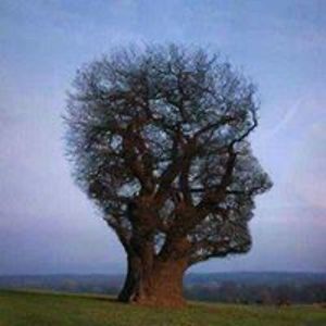 wannabehappy1111 avatar