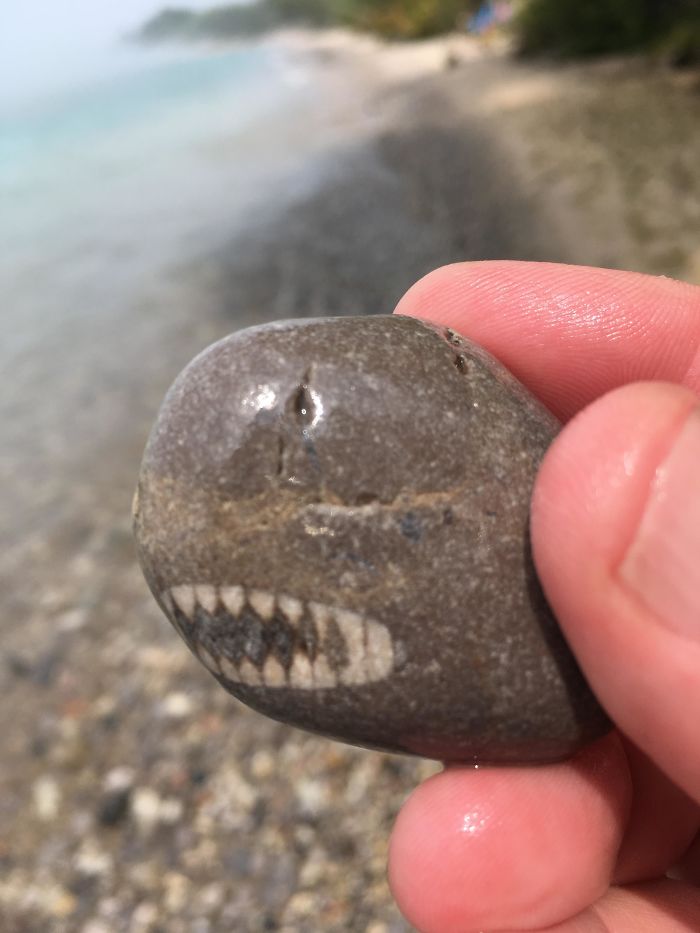Piedra que parece un tiburón