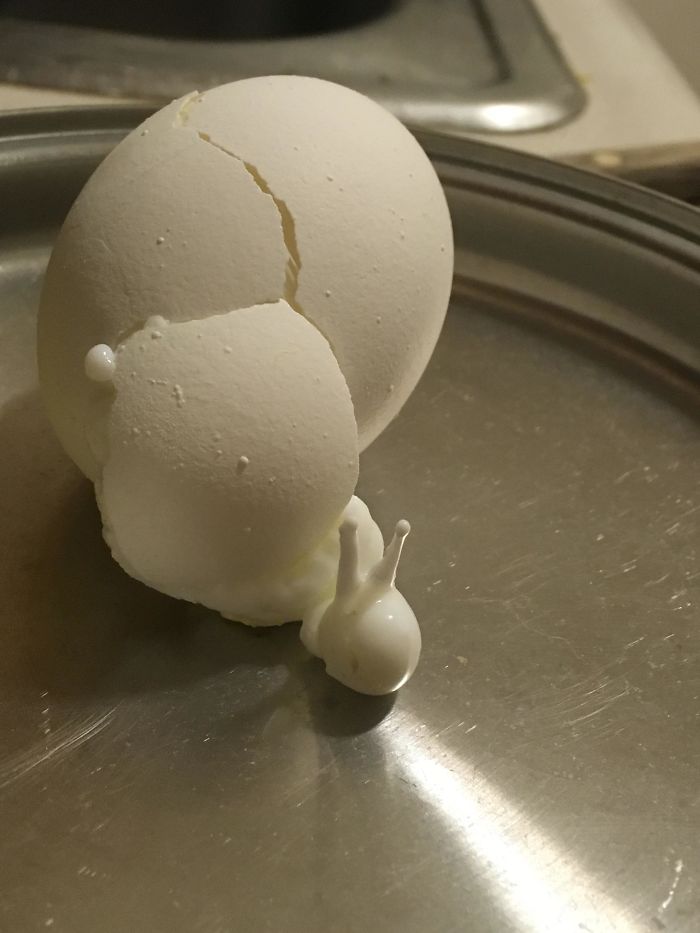 Este huevo cocido explotó mientras hervía y parece un caracol