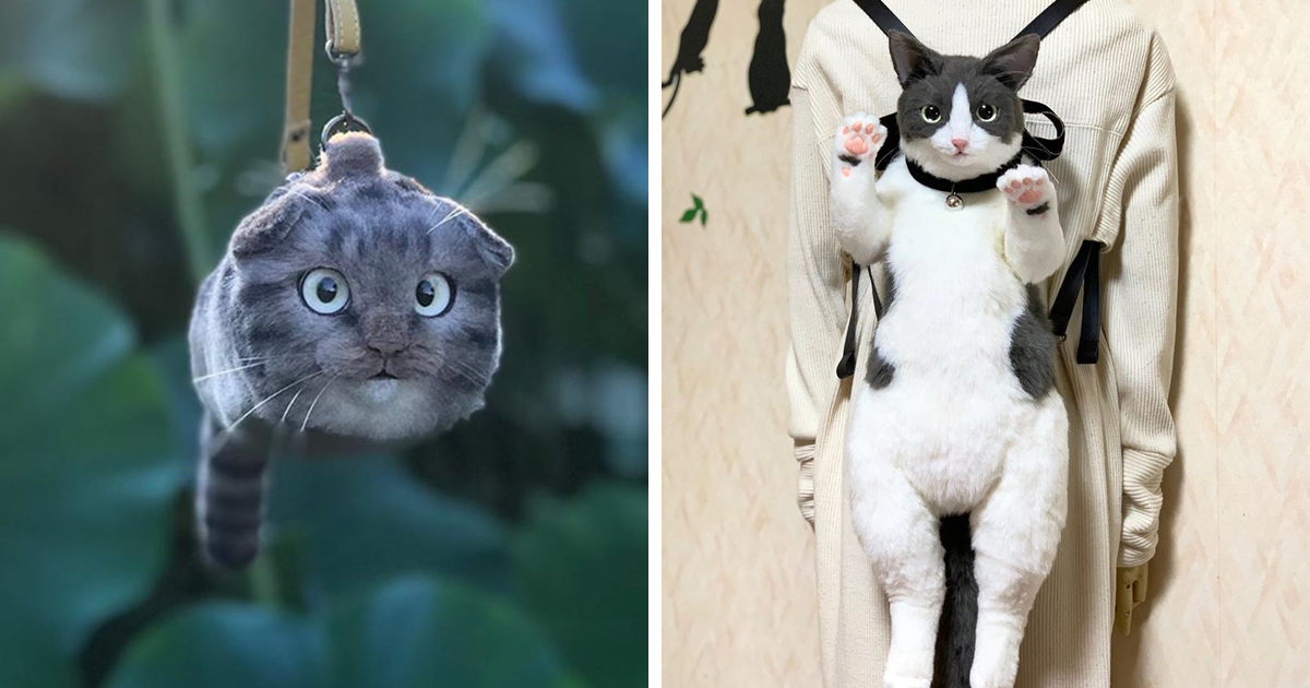 Specially I found it potato This Japanese Artist Continues To Create Cat Bags (New Pics) | Bored Panda