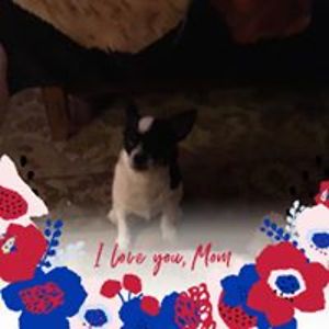 efitzgerald74 avatar