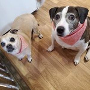 kristin_r_williams avatar