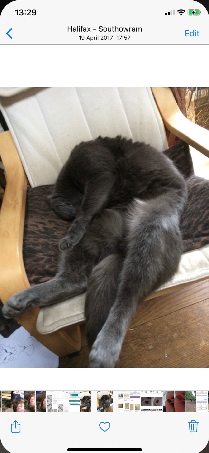 Expert Awkward Sleeper ...... Koshka The Cat❤️