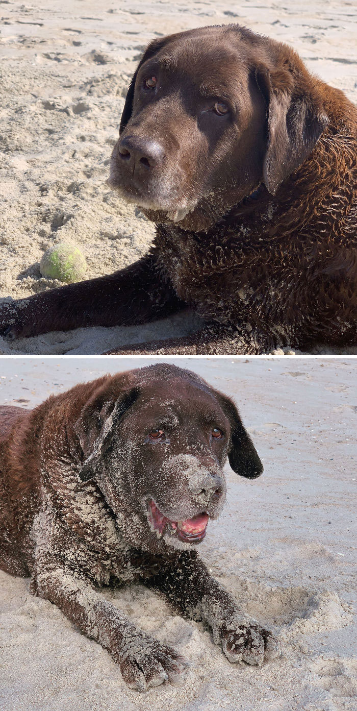 Dylan’s 13 And Doesn’t Get Around So Great Anymore, But He Loves The Beach More Than Anything