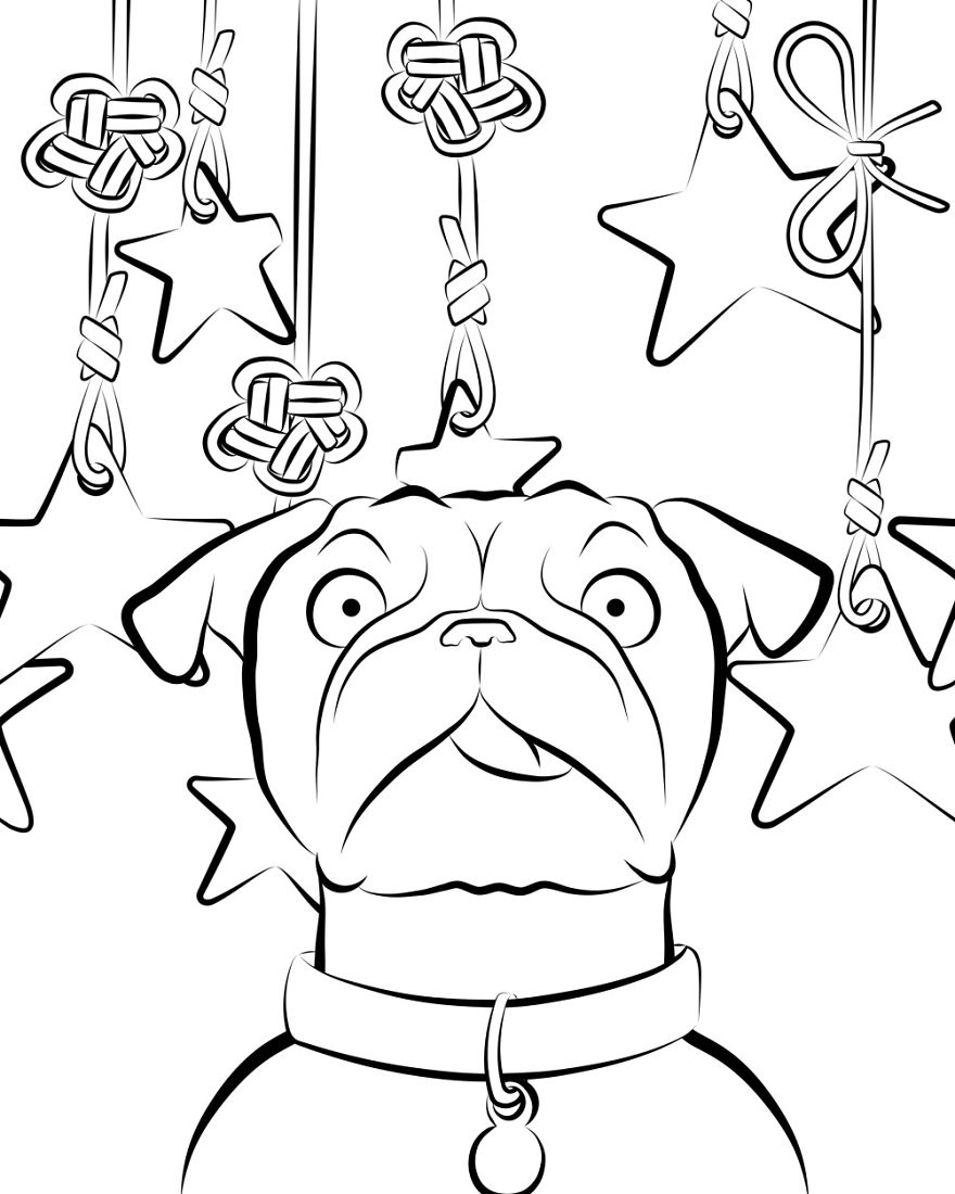 I Made A Coloring Book That Celebrates Derpy Dogs