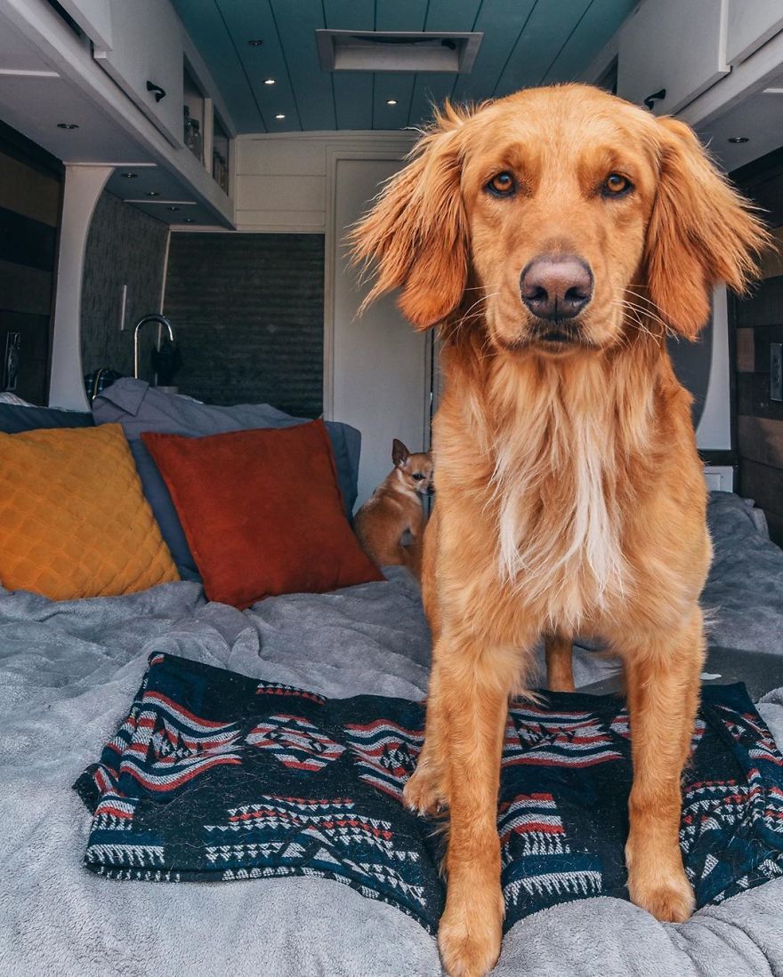 A Solo Female Traveler In A Converted Van With Her Puppy- Living On The Road Can Be An Incredible!