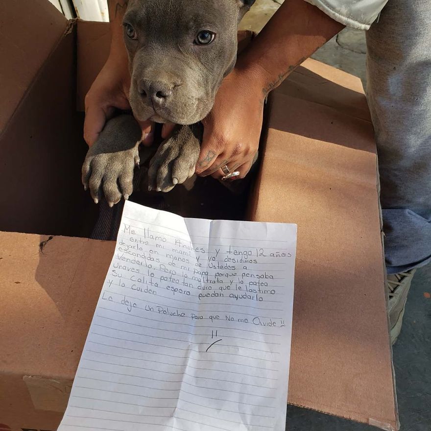 "Here Is A Toy So He Won't Forget Me": Boy Leaves His Helpless Puppy At A Shelter So His Dad Can't Beat It
