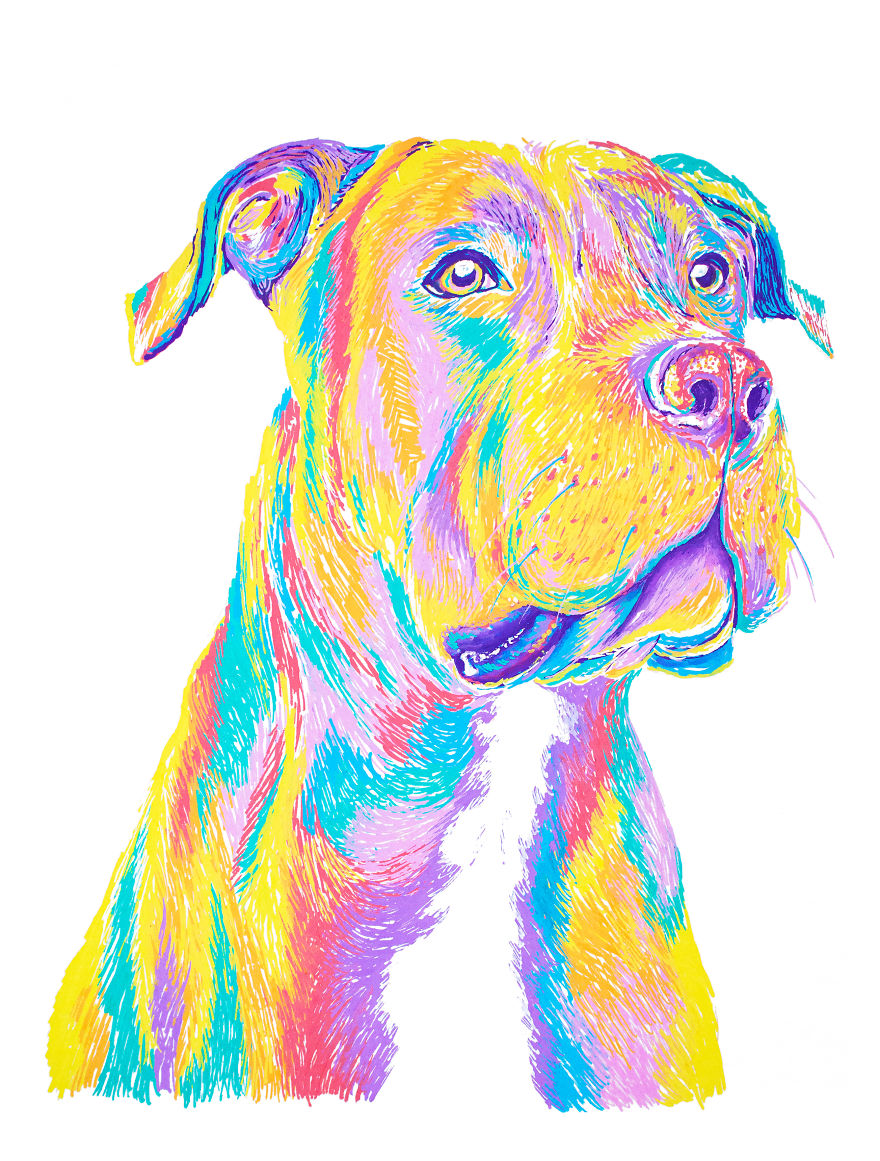 Colorful Pet Portraits I Drew