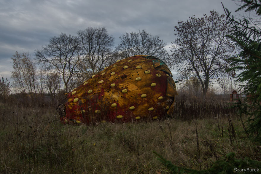 I Found A Large Abandoned Strawberry In Poland