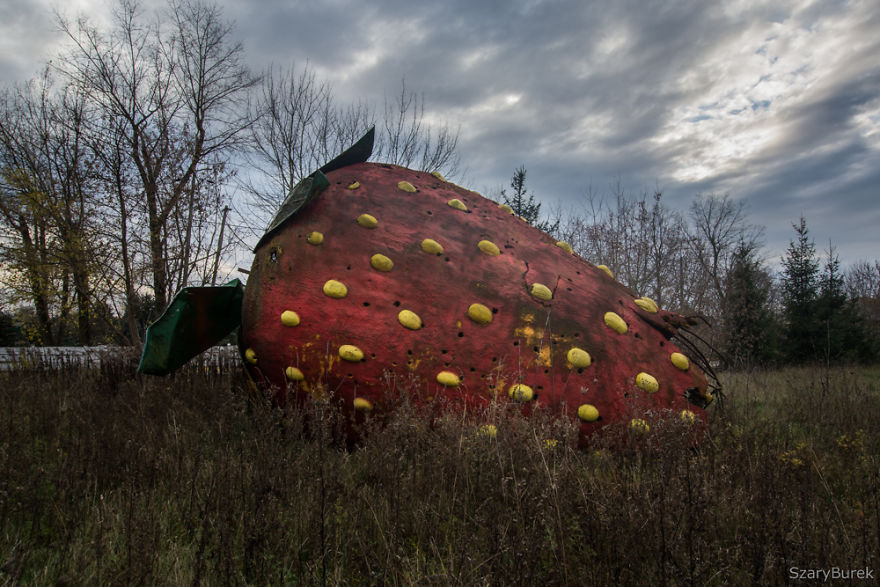 I Found A Large Abandoned Strawberry In Poland