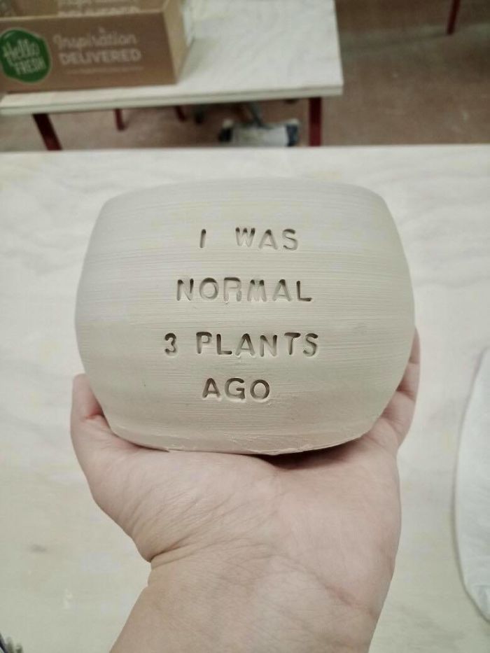 I Make Ceramic Planters With Sassy Botanical Puns (18 Pics)